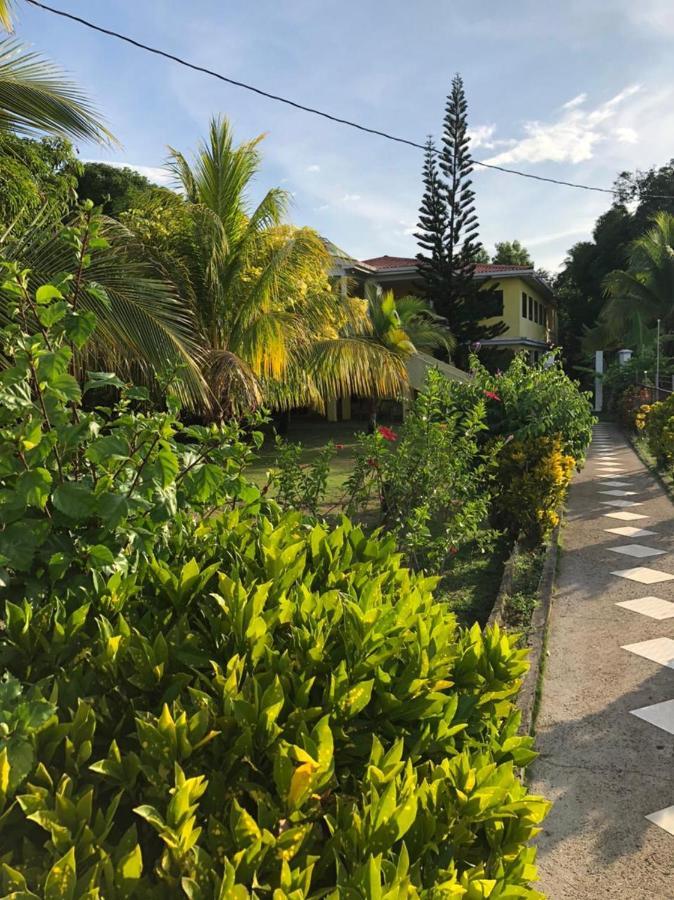 Sunshine Hotel ליטל קורן איילנד מראה חיצוני תמונה