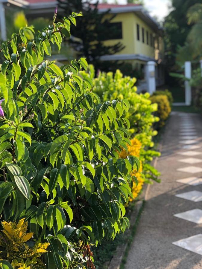 Sunshine Hotel ליטל קורן איילנד מראה חיצוני תמונה
